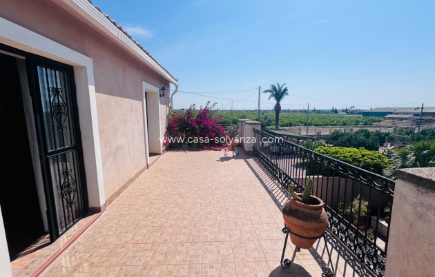 Reventa - Country Property/Finca - Albatera