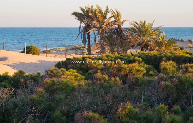 Reventa - Apartamento / piso - Guardamar del Segura - Costa Blanca