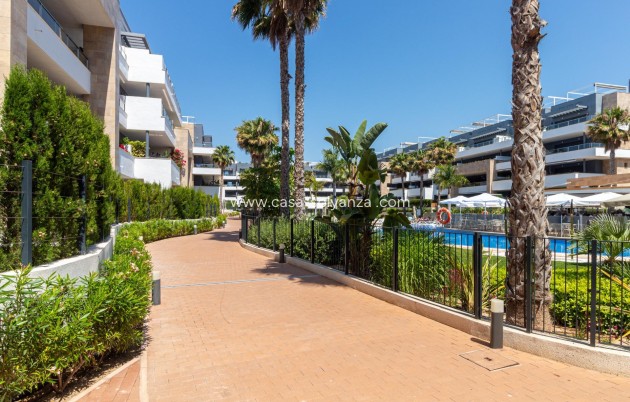 Reventa - Apartamento / piso - Orihuela Costa - Playa Flamenca