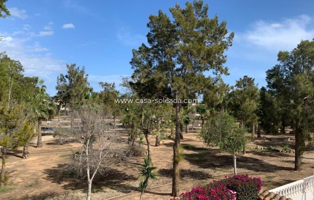 Revente - Villa - Guardamar del Segura - El Raso