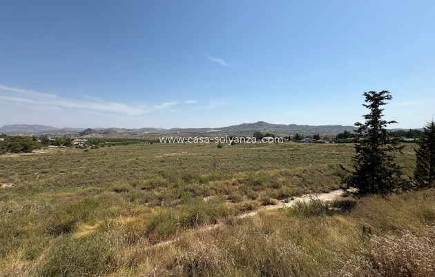 Reventa - Villa - Canadas De San Pedro - Inland