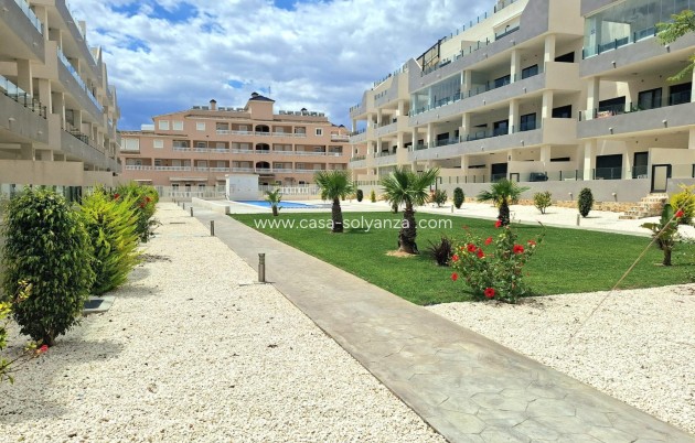 Reventa - Apartamento / piso - Orihuela Costa - Villamartín