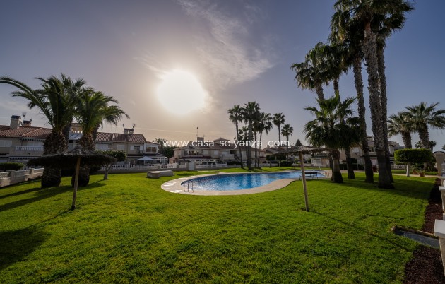 Reventa - Quad - Playa Flamenca - Zenia Mar