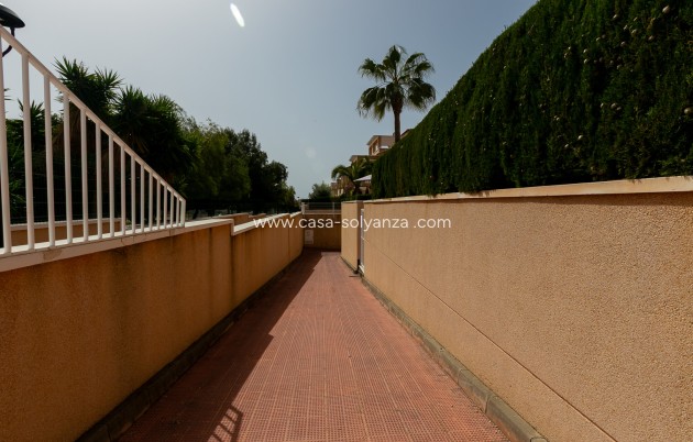 Reventa - Quad - Playa Flamenca - Zenia Mar