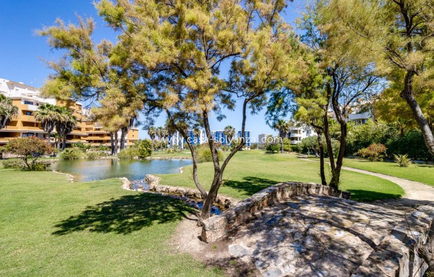Reventa - Apartamento / piso - Torrevieja - Punta Prima