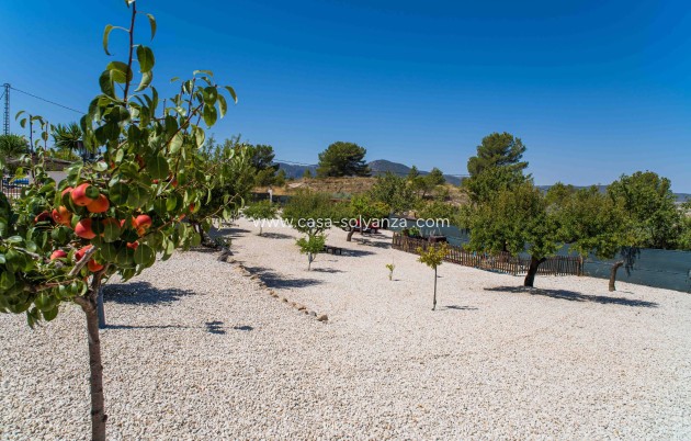Reventa - Villa - El Manyar - Partida Collao Safra 2R