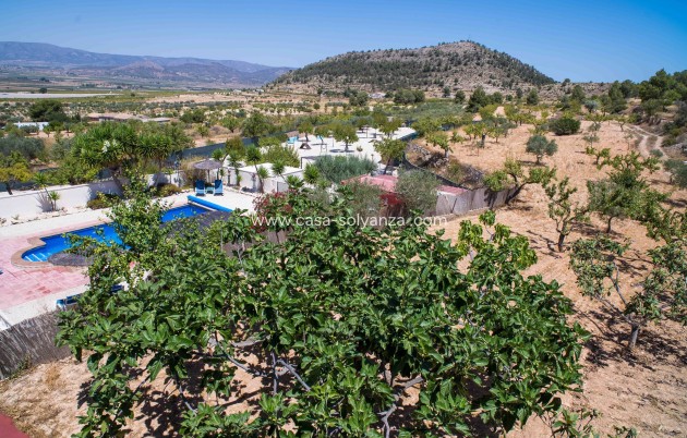 Reventa - Villa - El Manyar - Partida Collao Safra 2R
