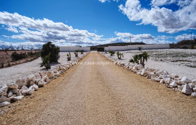 Reventa - Villa - Pinoso - Nog niet