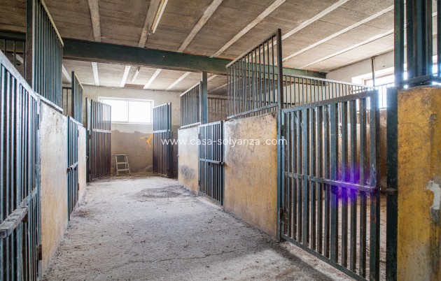 Reventa - Country Property/Finca - Monòver - Camí de Beties 5 be