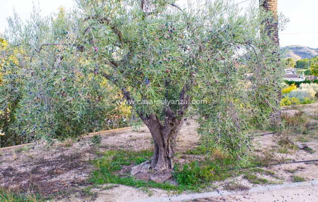 Reventa - Country Property/Finca - Monòver - Camí de Beties 5 be
