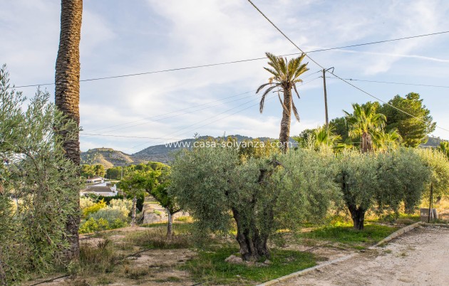 Reventa - Country Property/Finca - Monòver - Camí de Beties 5 be