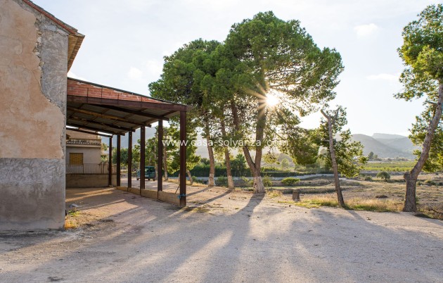 Reventa - Country Property/Finca - Monòver - Camí de Beties 5 be