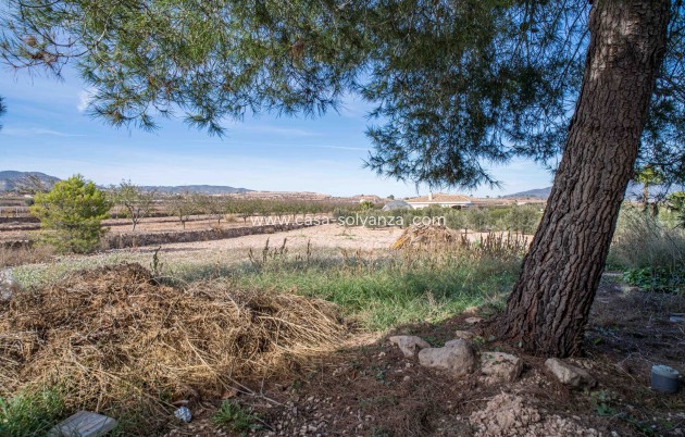 Revente - Maison de ville - Casas Pastor