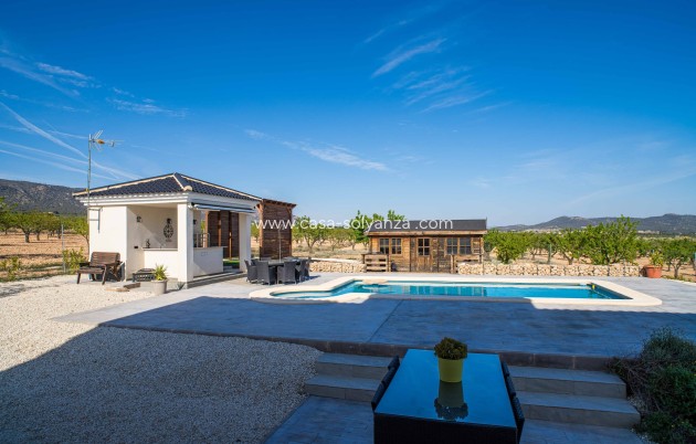 Revente - Villa - Lel