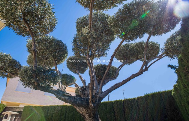 Revente - Villa - Elda