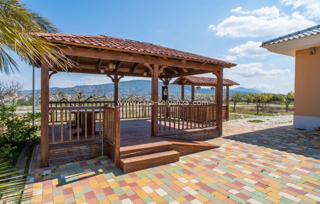 Reventa - Villa - Pinoso