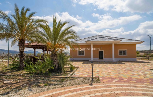 Reventa - Villa - Pinoso