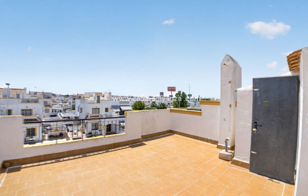 Reventa - Apartamento / piso - Torrevieja - La Siesta