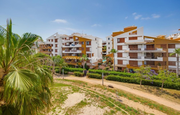 Reventa - Apartamento / piso - Torrevieja - Punta Prima