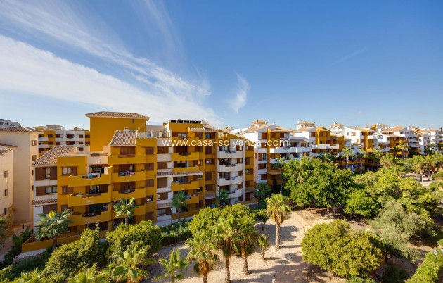 Reventa - Apartamento / piso - Torrevieja - Punta Prima
