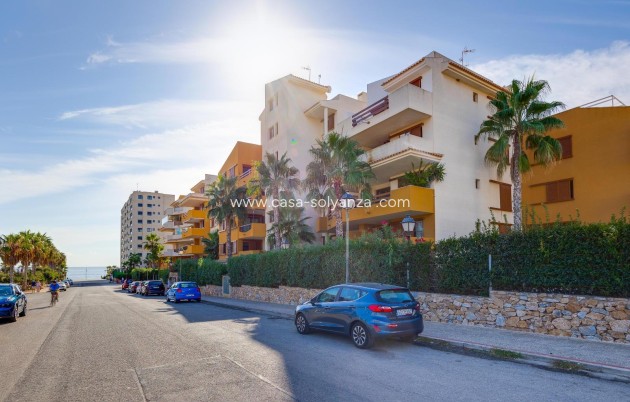 Reventa - Apartamento / piso - Torrevieja - Punta Prima