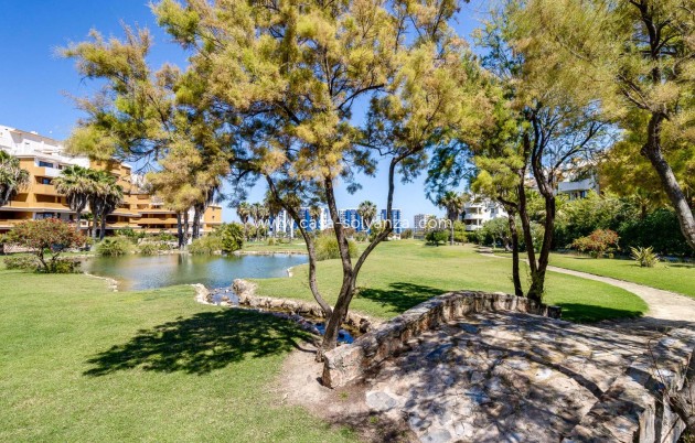 Reventa - Apartamento / piso - Torrevieja - Punta Prima