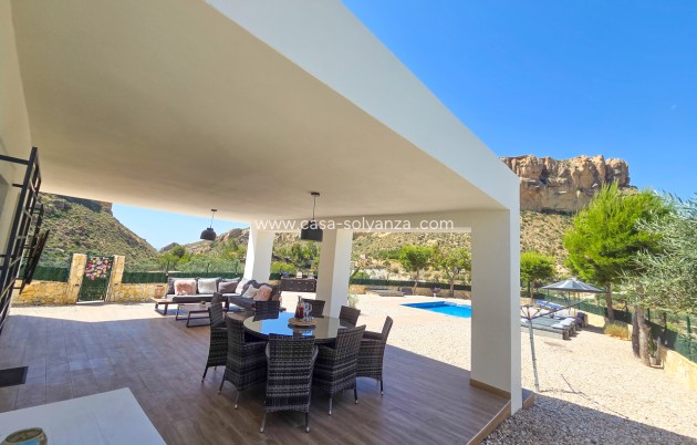 Reventa - Villa - Crevillente - Crevillent