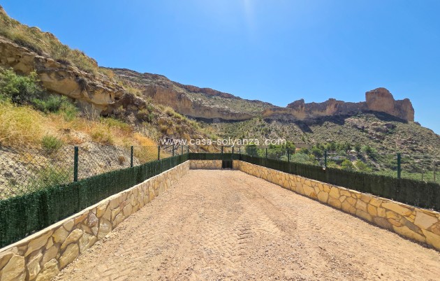 Reventa - Villa - Crevillente - Crevillent