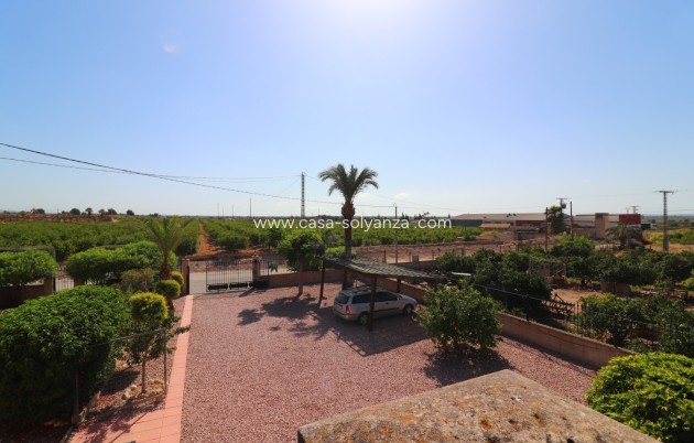 Reventa - Country Property/Finca - Albatera - Albatera - Country
