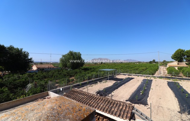 Reventa - Country Property/Finca - Albatera - Albatera - Country