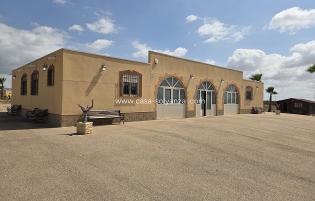 Reventa - Villa - Fuente Alamo - Inland
