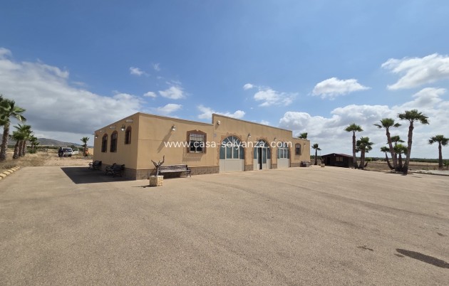 Reventa - Villa - Fuente Alamo - Inland