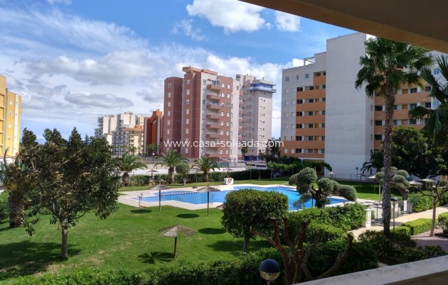 Revente - Appartement - Guardamar del Segura - Costa Blanca