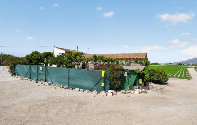 Reventa - Country Property/Finca - Orihuela - Desamparados-Hurchillo-Torremendo