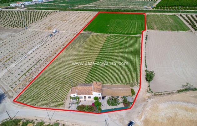 Reventa - Country Property/Finca - Orihuela - Desamparados-Hurchillo-Torremendo