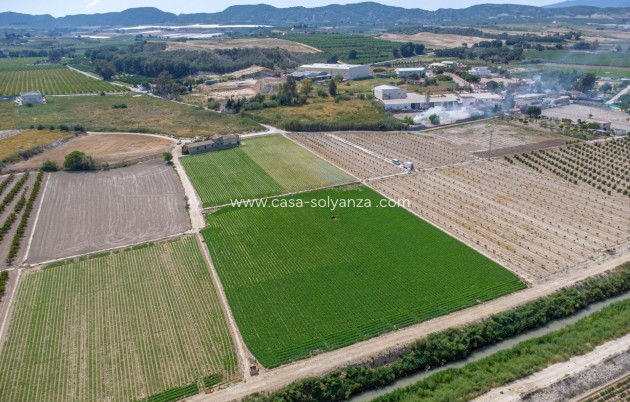 Reventa - Country Property/Finca - Orihuela - Desamparados-Hurchillo-Torremendo