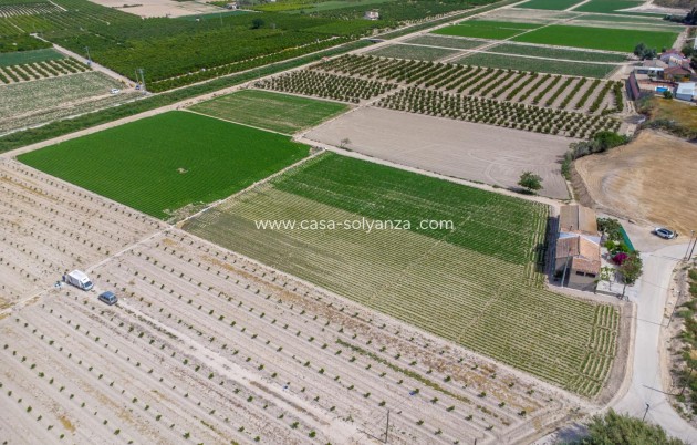 Reventa - Country Property/Finca - Orihuela - Desamparados-Hurchillo-Torremendo