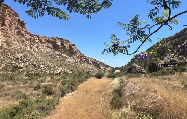 Reventa - Finca - Country Property - Crevillente - Crevillent
