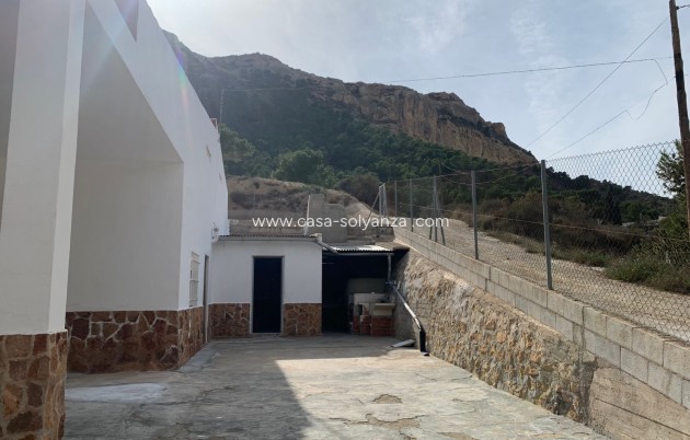 Reventa - Finca - Country Property - Crevillente - Crevillent