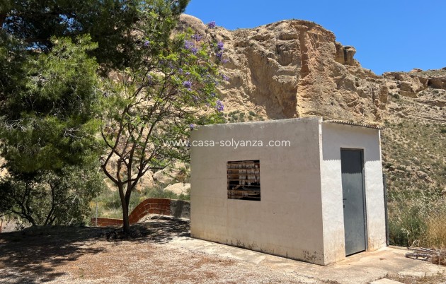 Reventa - Finca - Country Property - Crevillente - Crevillent