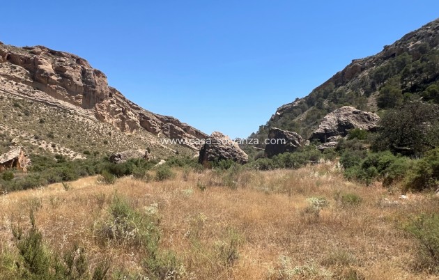 Reventa - Country Property/Finca - Crevillente - Inland