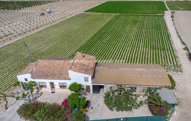 Reventa - Country Property/Finca - Orihuela - Desamparados