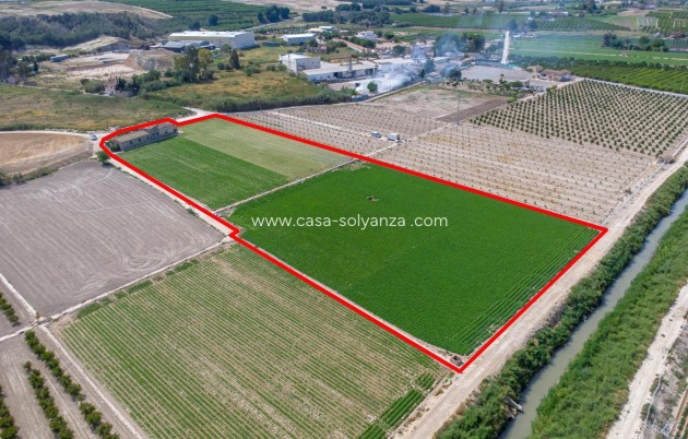 Reventa - Country Property/Finca - Orihuela - Desamparados