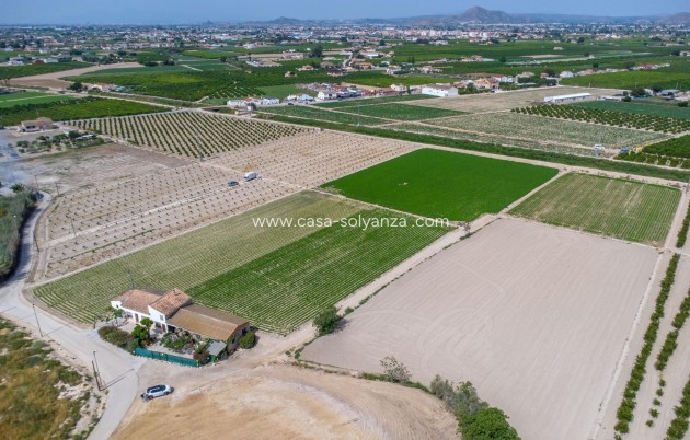 Reventa - Country Property/Finca - Orihuela - Desamparados
