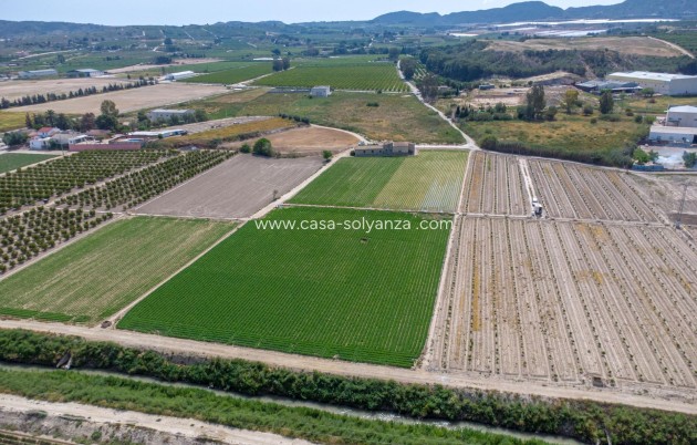 Reventa - Country Property/Finca - Orihuela - Desamparados