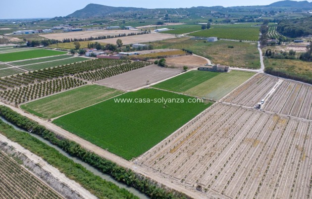 Reventa - Country Property/Finca - Orihuela - Desamparados