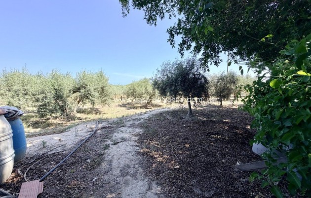 Reventa - Country Property/Finca - La Marina - Costa Blanca