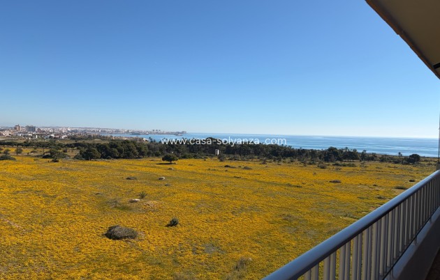 Reventa - Apartamento / piso - Torrevieja - Punta Prima