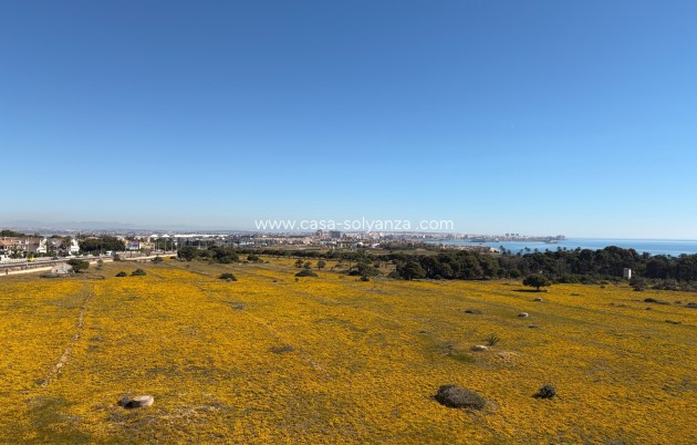 Reventa - Apartamento / piso - Torrevieja - Punta Prima