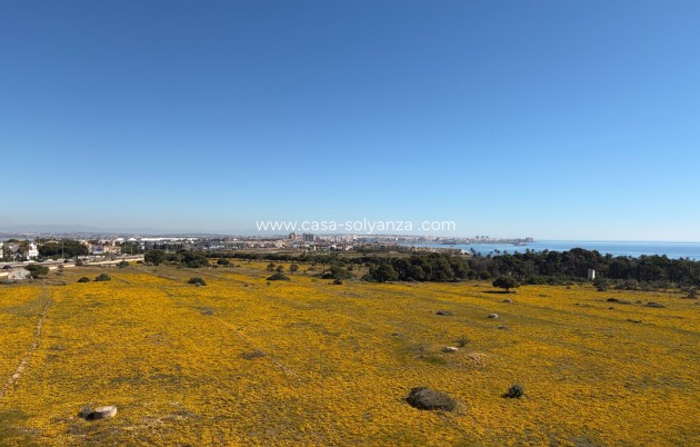 Reventa - Apartamento / piso - Torrevieja - Punta Prima